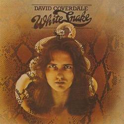 David Coverdale : Whitesnake